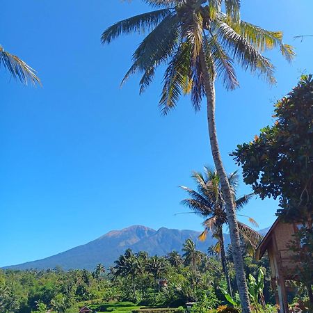 Dewi Rinjani Homestay Tetebatu Extérieur photo