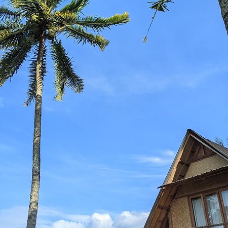 Dewi Rinjani Homestay Tetebatu Extérieur photo