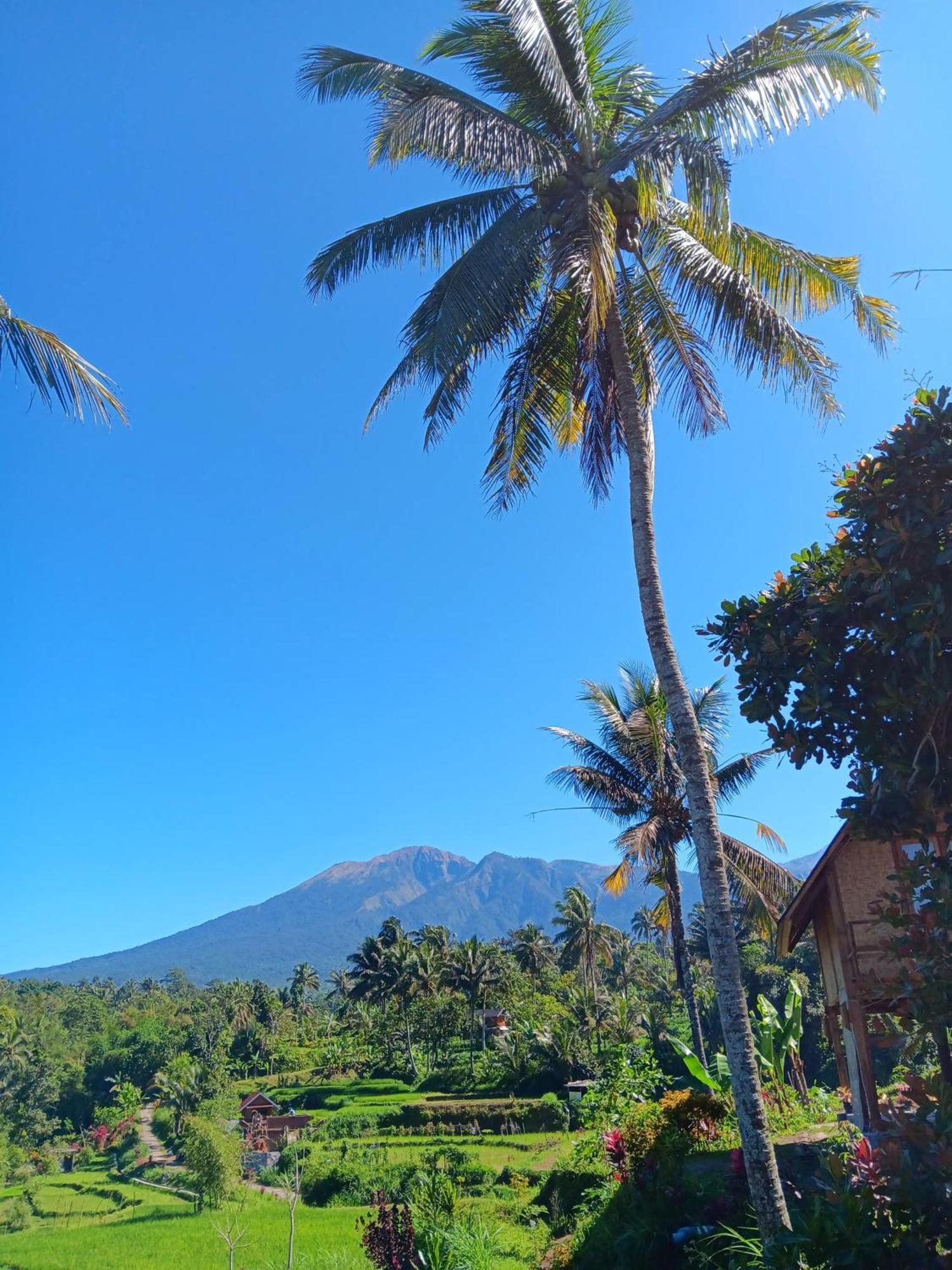 Dewi Rinjani Homestay Tetebatu Extérieur photo