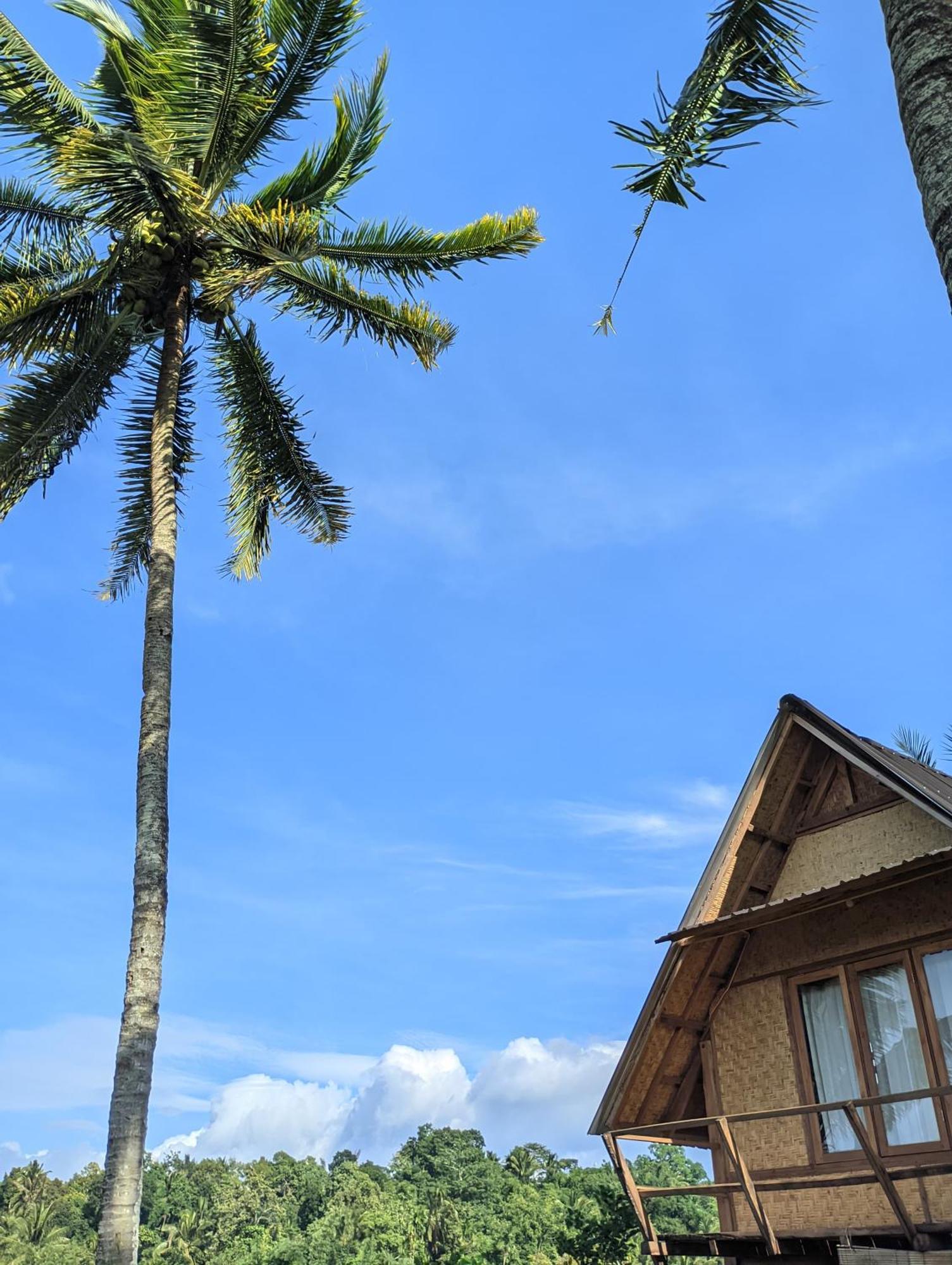 Dewi Rinjani Homestay Tetebatu Extérieur photo