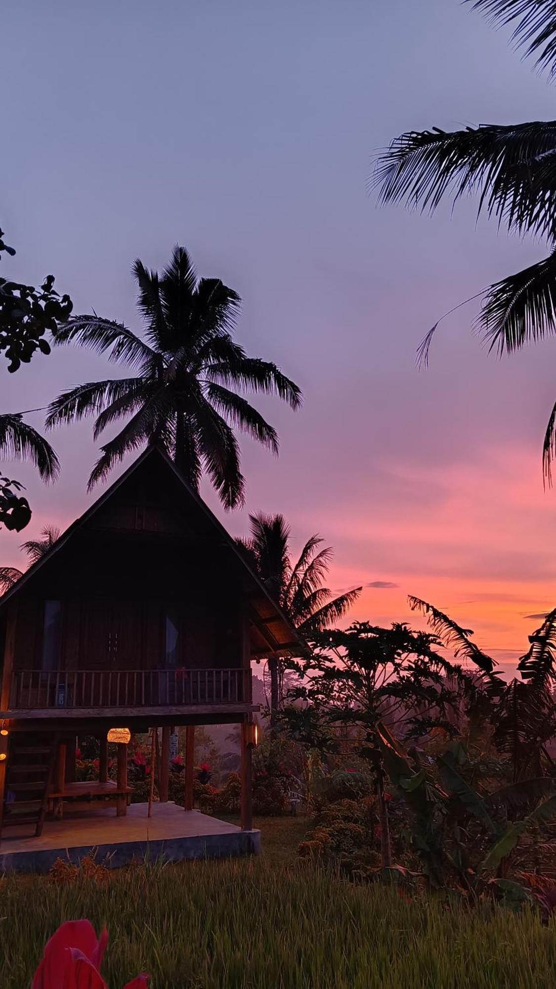 Dewi Rinjani Homestay Tetebatu Extérieur photo